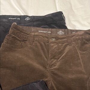 St. John's Bay Brown and Black Straight Leg Pants. 2 Pairs